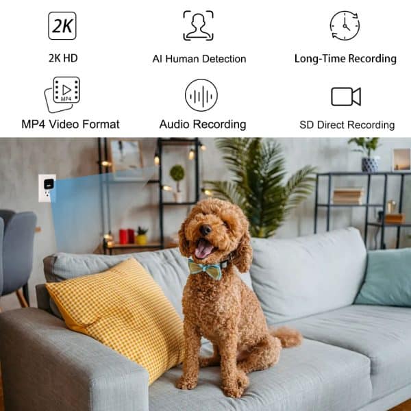 Buy S6L | Hidden Camera Charger | 2K HD Spy Camera USB Charger | Audio Recording | AI Human Detection | Long-Time Recording with SD Card Auto-Save | No Ads on App | Idea for Indoor Surveillance